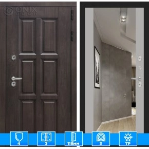 Входная дверь Лондон с зеркалом Максимум - Грей софт