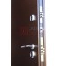 Входная дверь Термо Магнит 29 - Дубкантритемный