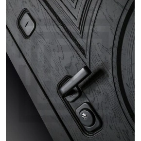 Входная дверь GRAND 15 - Алмон 25