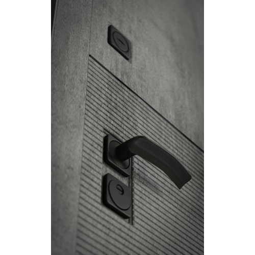 Входная дверь INFINITY 25 - Бетон светлый, черный молдинг