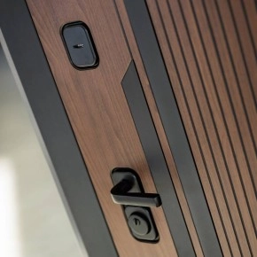 Входная дверь KARMINA 15 - Алмон 25