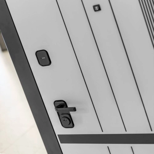 Входная дверь SKYLAB 24 - Бетон светлый