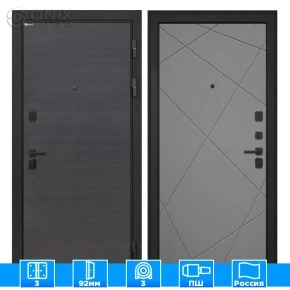 Входная дверь Профит Black Эковенге поперечный Лучи-М графит