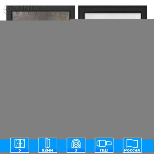 Входная дверь Профит Black Гранж ФЛ-243-м белая матовая