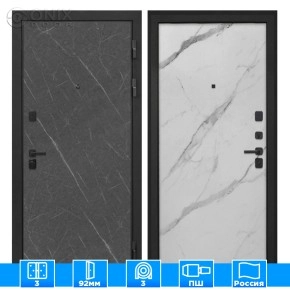 Входная дверь Профит Black Лава Мрамор арктик