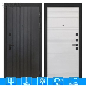 Входная дверь Профит Black Лофт черный ФЛ-316 белый ясень