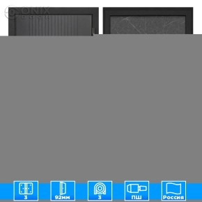 Входная дверь Профит Black Лофт черный Лава