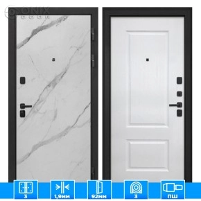 Входная дверь Профит Black Мрамор арктик Альба Роял вуд белый