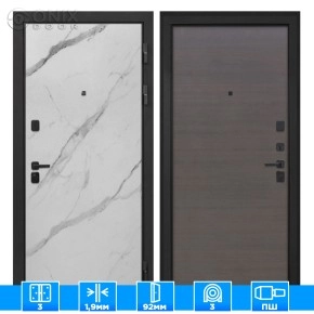Входная дверь Профит Black Мрамор арктик Эковенге поперечный