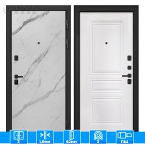 Входная дверь Профит Black Мрамор арктик ФЛ-243-М белая матовая