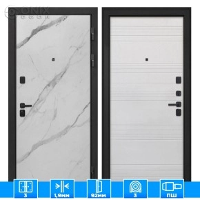 Входная дверь Профит Black Мрамор арктик ФЛ-316 белый ясень