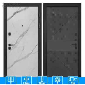 Входная дверь Профит Black Мрамор арктик ФЛ-613 черный крашеный