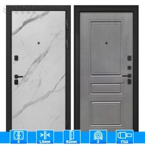 Входная дверь Профит Black Мрамор арктик ФЛ-243-М Графит вуд дуб