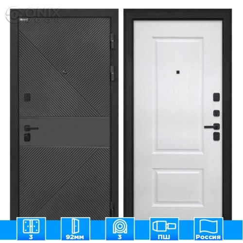 Входная дверь Профит black ФЛ-613 черный (крашеный) Альба Роял вуд белый