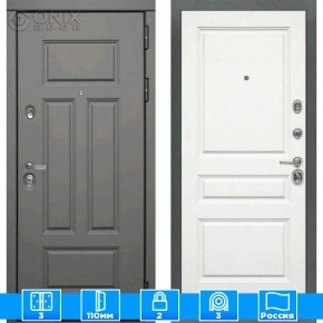 Входная дверь Мираж 121595 Белый/Серый