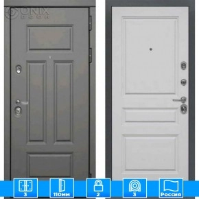 Входная дверь Мираж 121597 Серый/Серый