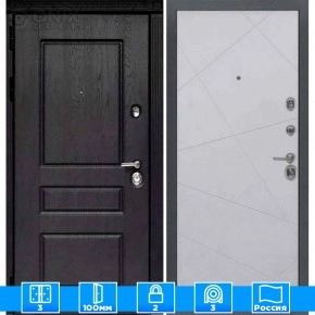 Входная дверь Мираж 121654 Серый/Черный