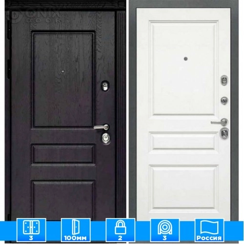 Входная дверь Мираж 121655 Белый/Черный