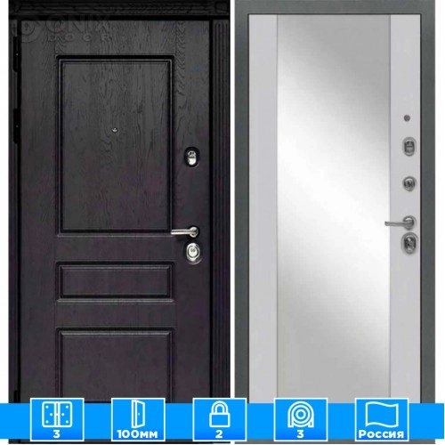 Входная дверь Мираж 121660 Серый/Черный